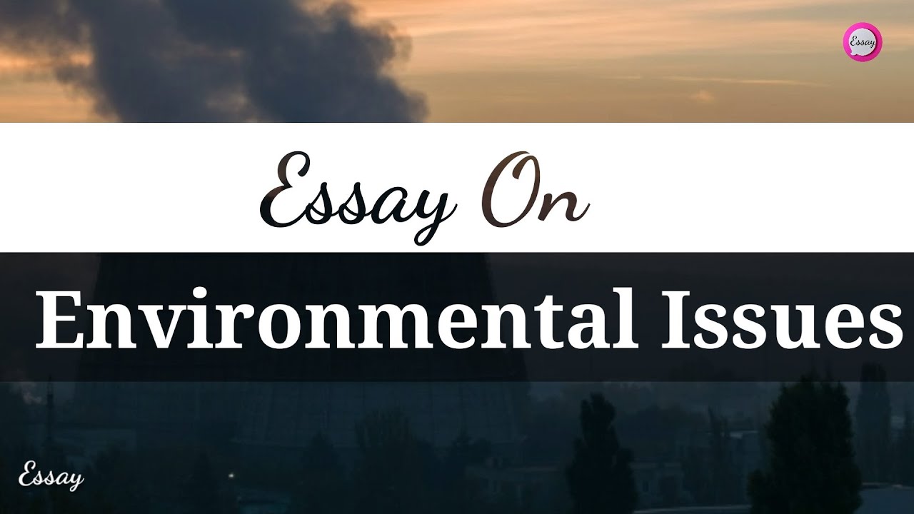 Essay On Environmental Issues Essay On Environmental Issues In