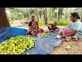 wholesale lemon market puliyangudi tamil nadu tenkasi village media craft meyerlemon lemontrees