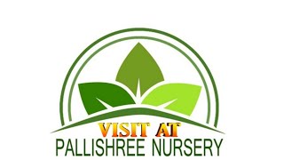 পল্লীশ্রী নার্সারী I Pallishree nursery I Arambagh #vlogbk #arambagh #Pallishree #pallishreenursery