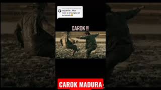 carok madura part 2#madura #carokmadura #shorts #shortvideo #viral