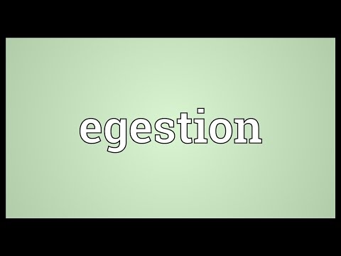 What is meant by Egestion?