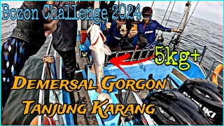 Spesis Demersal 🔥 BABON🔥 Penghuni Lubuk Tanjung Karang #jigging #fishing