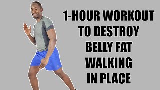 1-HOUR WORKOUT to Destroy Belly Fat Walking In Place No Equipment