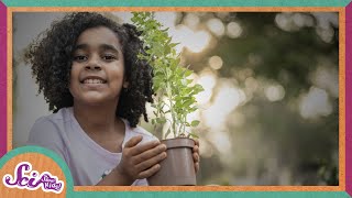 The Wonderful World of Plants! | A SciShow Kids Compilation!