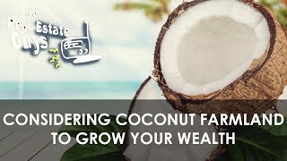 Considering Coconut Farmland to Grow Your Wealth