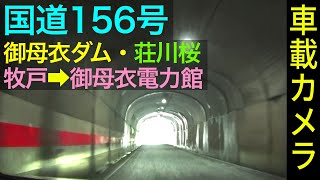 岐阜【国道156号】御母衣ダム・荘川桜、大型車すれ違い不可の狭小トンネル