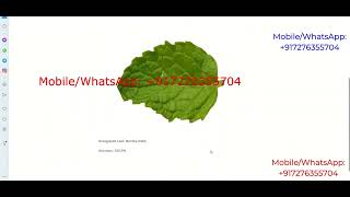 Types Of Medicinal Leaf Recognition Using Image Processing | Python Project With Source Code