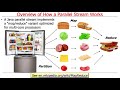 Overview of Java Parallel Streams: Phases