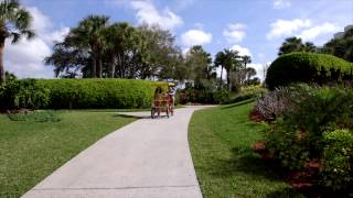 Hyatt Regency Grand Cypress: Orlando’s Best Family Resort