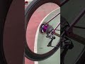 Chris King R45 hubs with Pinnacle Wheels | Freehub Sound Check