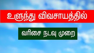 வரிசைமுறை உளுந்து சாகுபடி | balck gram | seeder machine | agriculture| technology harvesterfarming