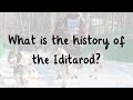 🦮 iditarod for kids 1 march what is the iditarod iditarod trail sled dog race twinkl usa