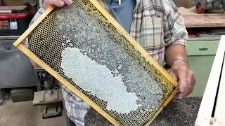 Beekeeping in Southern Oregon