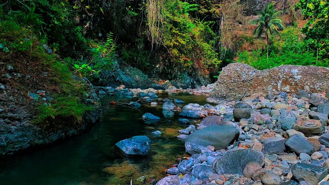 Relaxing River Sounds Soothing Stream Sounds Mountain Stream Wild