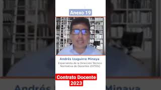 Anexo 19 Contrato Docente 2023 #contratodocente #minedu