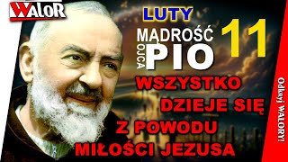 OP250211 Wszystko w duszy dzieje się z powodu miłości Jezusa - Mądrość O. Pio