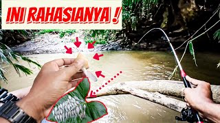 CARA MEMILIH PANCING MICROFISHING DAN UMPAN YANG GACOR ❗️