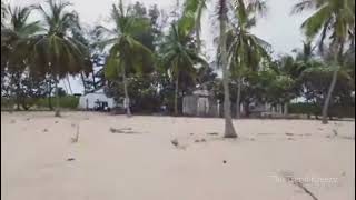 எனது ஊர் சந்திவெளியில் உள்ள அழகான beach #beach #srilanka