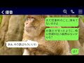 【line】結婚式直前に、土方の私を見下して婚約を破棄した彼女と義両親は、「貧乏人はやっぱり無理だね」と笑っていた。しかし、私が自分の正体を告げると、彼女の勝ち誇る態度は一変し、驚いた顔をしていた。