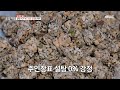 [생방송 오늘 저녁] 설탕 NO! 부드러운 강정의 매력✨, MBC 240124 방송