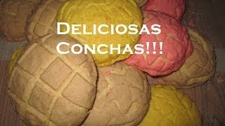 Conchas deliciosas!!!