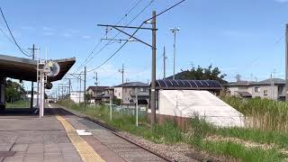 越後線　115系・普通吉田行　岩室駅入線