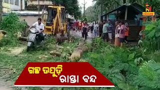 Trees Uprooted, Roads Blocked After Amid Heavy Rainfall In Bhadrak | NandighoshaTV