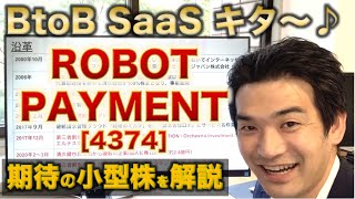 【IPO解説】ROBOT PAYMENT［4374]の新規上場・事業内容をわかりやすく解説【Webマーケター事業分析】