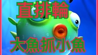 大兒子 玩直排輪遊戲 大魚抓小魚