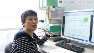 南研究室 データから情報を取り出す方法を科学する「統計科学」の研究