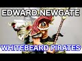 Whitebeard Pirates Captain Figure Unboxing One piece Edward Newgate Figuarts Zero 白髭 フィギュア フィギュアーツ