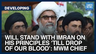 Will Stand With Imran Khan On His Principles ‘Till Drop Of Our Blood’: MWM Chief | Dawn News English