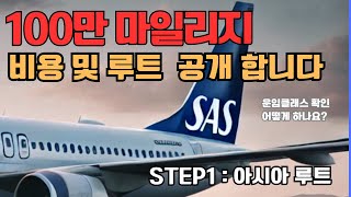 [SAS]스칸디나비아 항공 100만 마일리지 발권기 및 경비, 발권팁// 아시아루트(1)