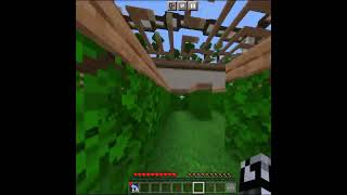Impossible Minecraft Puzzle Part #2 #shorts