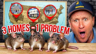 3 Homes ONE HUGE RAT Problem