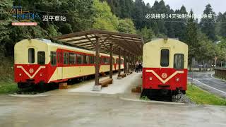 [20200421]WILL GO TO TAIWAN  ep.3  奮起湖 | 沼平車站