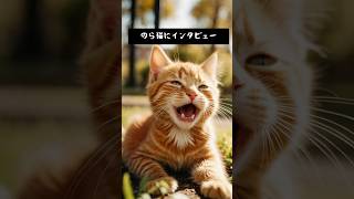 のら猫にインタビュー39 #aicat #猫 #猫のいる暮らし