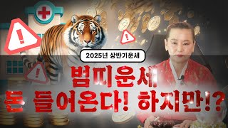 🌟2025년 상반기 신년운세 범띠운세🌟🔥돈 들어오지만 ○○ 조심하세요! 62년생 74년생 86년생 98년생 범띠운세 / 금전운 사업운 문서운 범띠운세