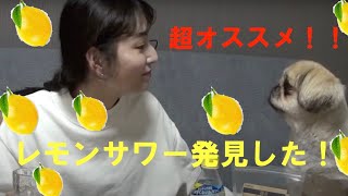 キレートレモンでレモンサワー！美味しいにキマってる！