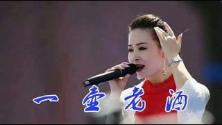 女歌手一首感人民谣《一壶老酒》，情真意切，听哭多少孝顺儿女！