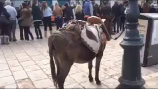 Ochi Day Parade on Hydra Island Greece 2015