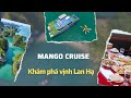 Mango cruise - Tour vịnh Lan Hạ