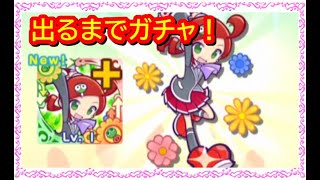 【ぷよクエ】新たな強キャラ「あんどうりんご」が出るまでガチャしたら神引きに！？