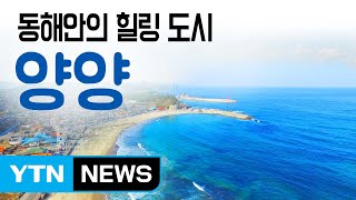 [YTN 구석구석 코리아] 동해안의 힐링 도시, 양양 / YTN