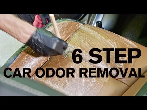 How to Remove Car Odors in 6 Steps How to Remove Car Odors in 6 Steps