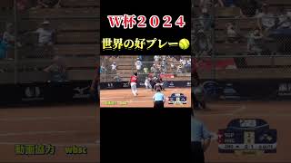 【異次元の好プレー】男子ソフトボール　 #ソフトボール #野球 #softball #甲子園 #好プレー集#日本代表 #可愛い #美女 #男子ソフトボール #remix #kpop