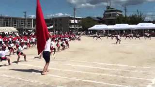 多治見市立精華小学校　運動会2011