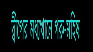 সেন্টমার্টিন দ্বীপের মানুষ কিভাবে জীবিকা অর্জন করেও বসবাস করে