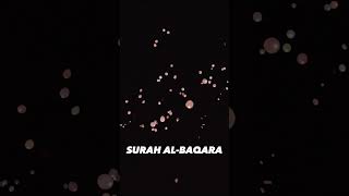 SURAH AL-BAQARA |Ayaat 89+90| Recitation by Mishary Rashid Alafasy | Islam The Heavenly Path