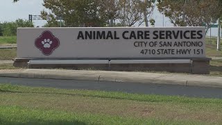 City of San Antonio Animal Care Services plans to add veterinary hospital to their campus